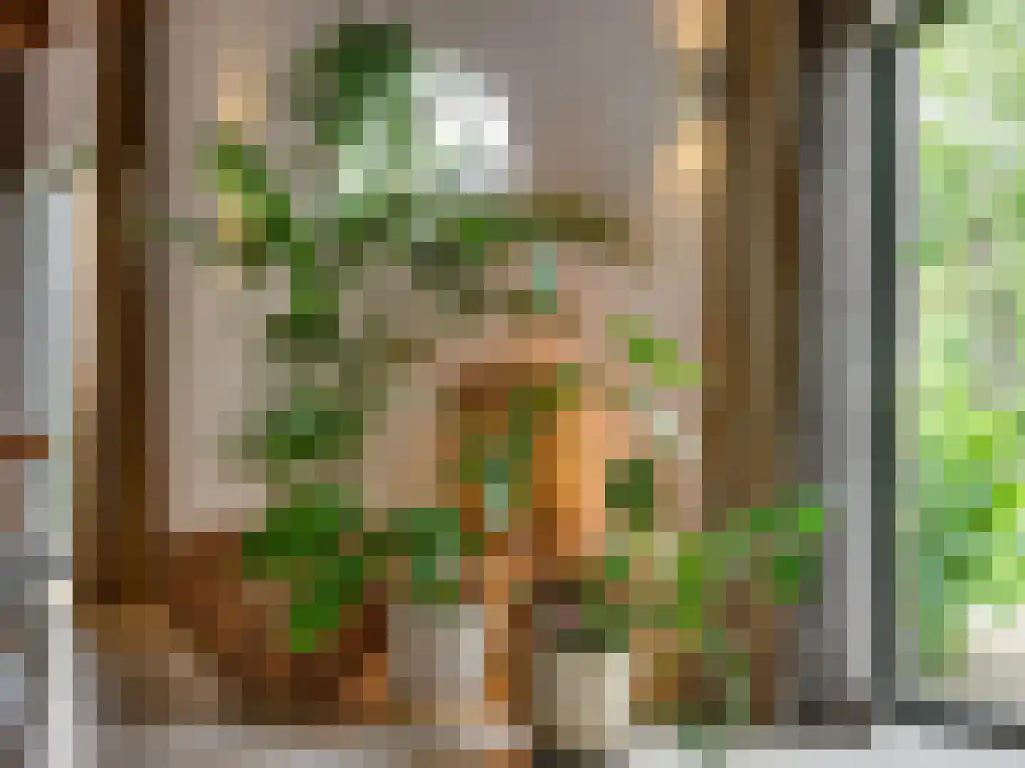 Schrepel 4 Zevenbergschen Hoek thumbnail 10