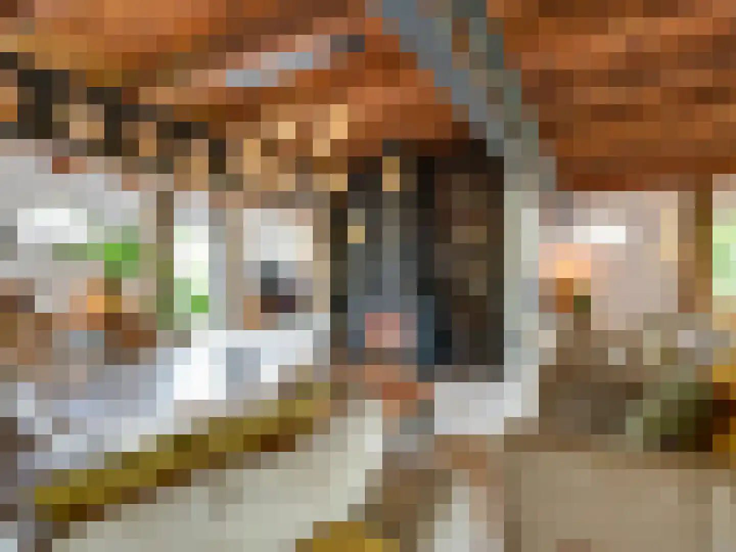 Schrepel 4 Zevenbergschen Hoek thumbnail 11