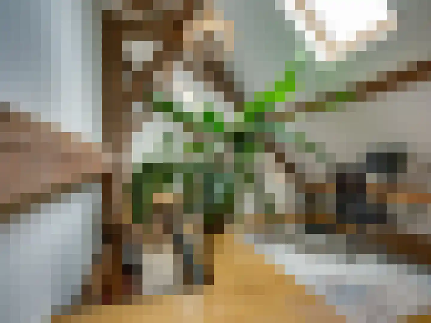Schrepel 4 Zevenbergschen Hoek thumbnail 23