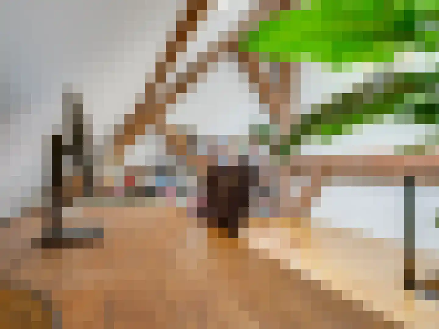 Schrepel 4 Zevenbergschen Hoek thumbnail 24