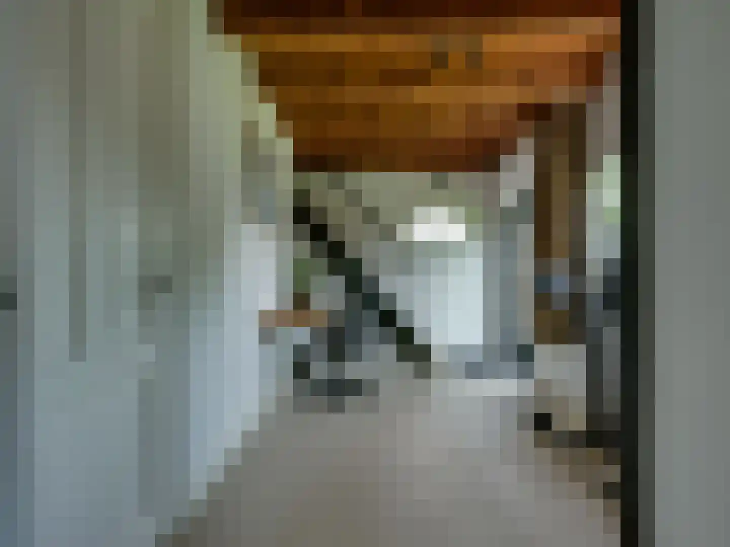 Schrepel 4 Zevenbergschen Hoek thumbnail 28