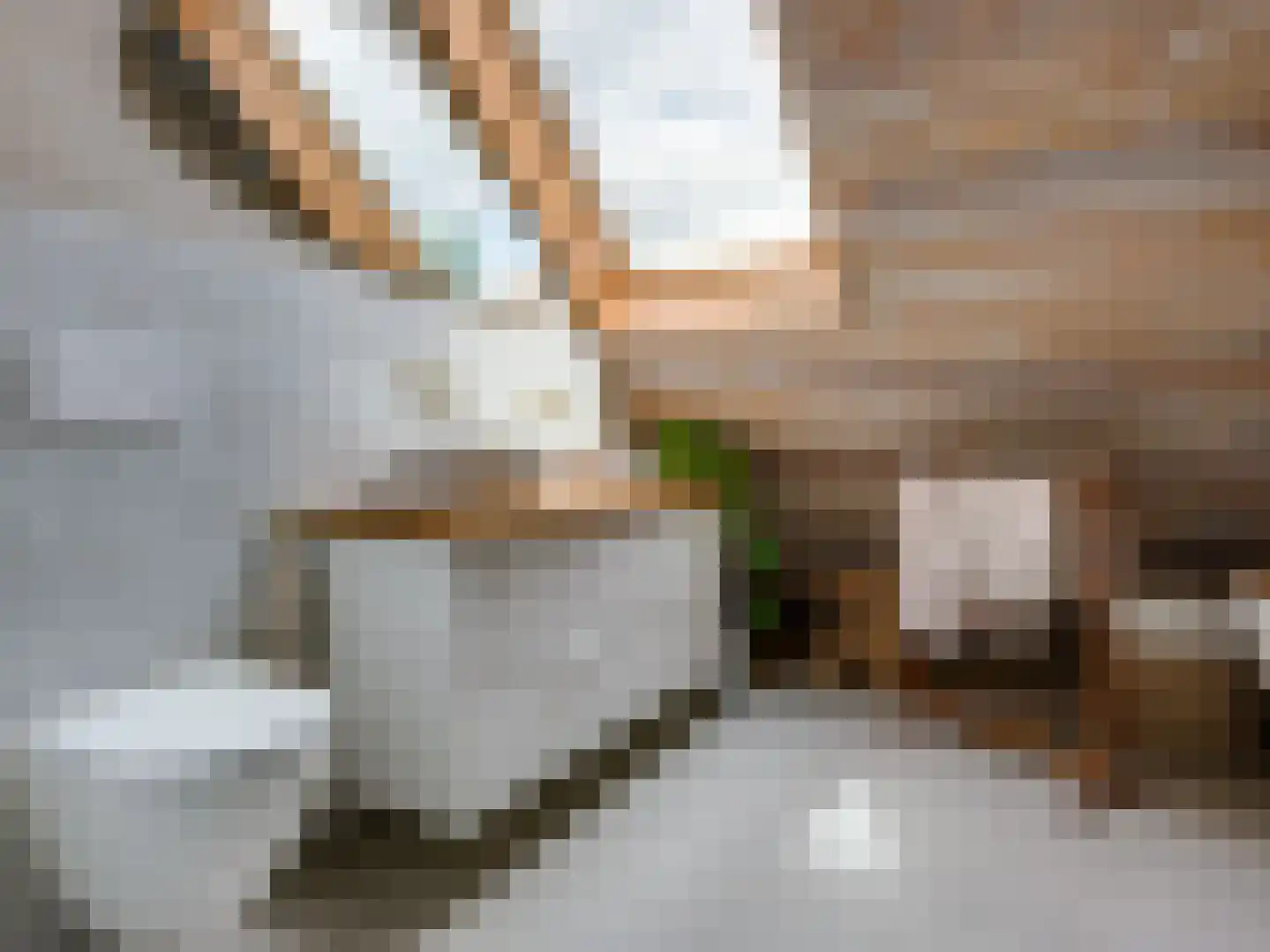 Schrepel 4 Zevenbergschen Hoek thumbnail 31