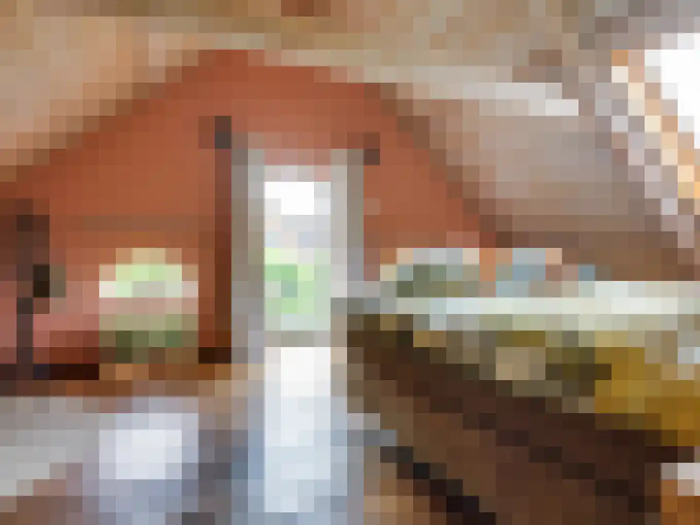 Schrepel 4 Zevenbergschen Hoek thumbnail 36