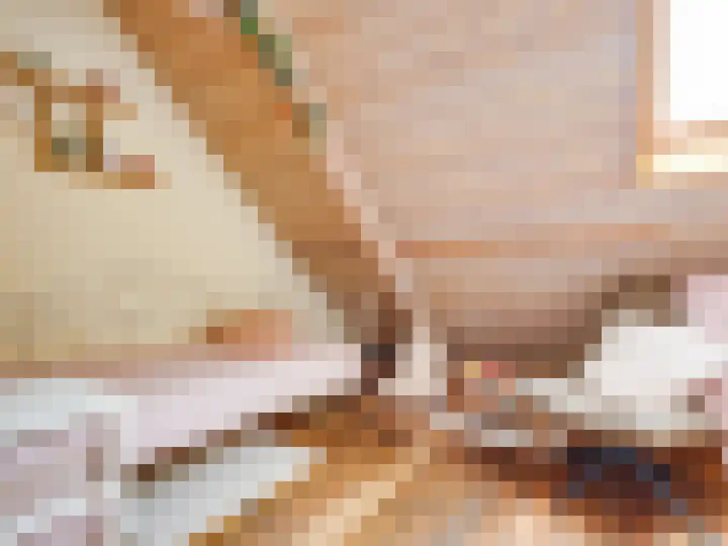 Schrepel 4 Zevenbergschen Hoek thumbnail 39