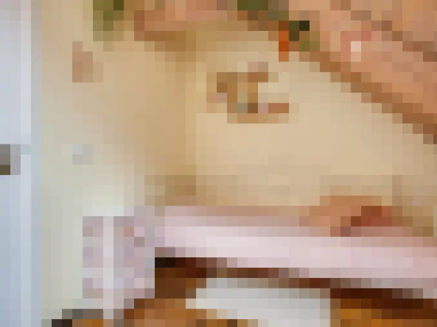 Schrepel 4 Zevenbergschen Hoek thumbnail 40