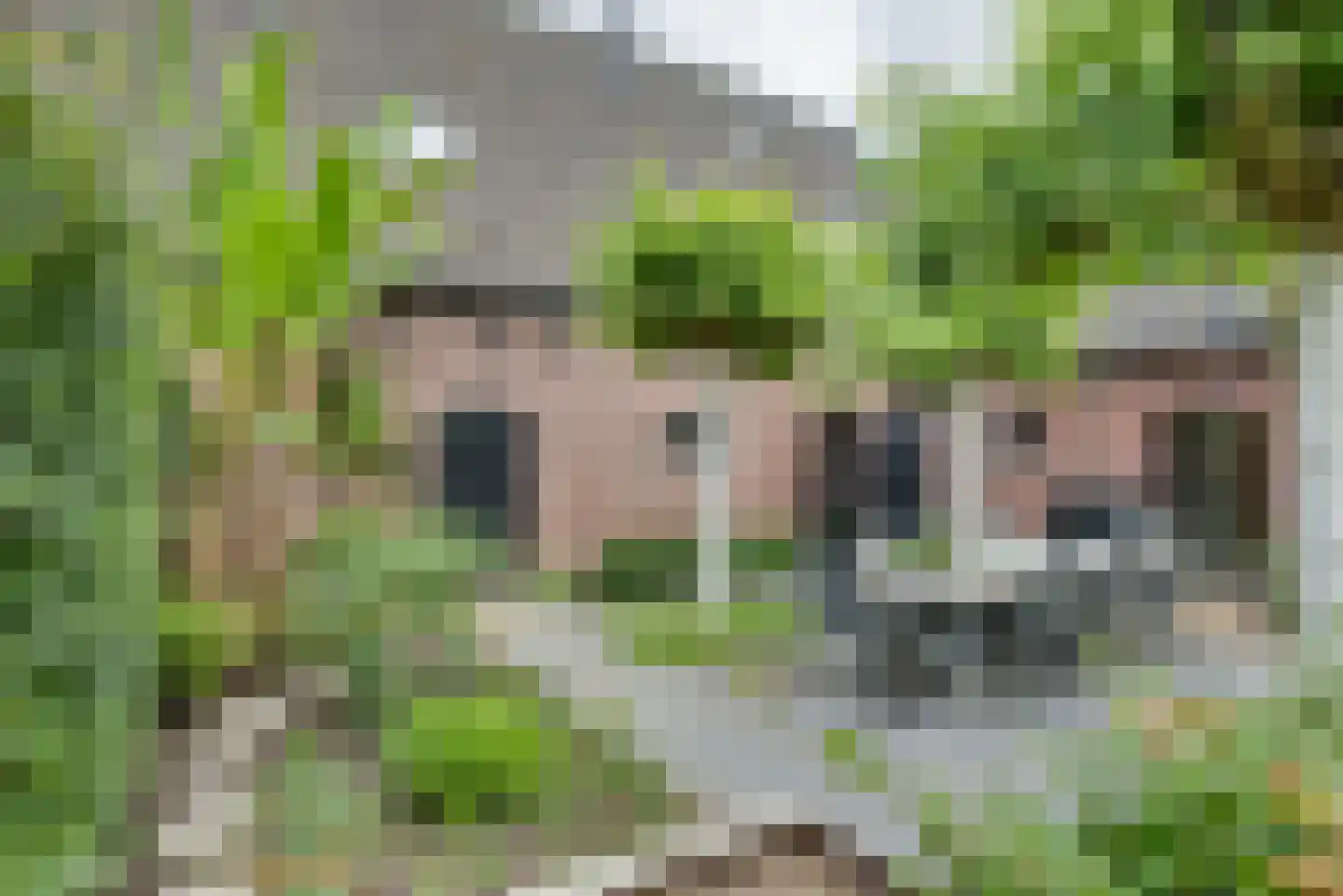 Schrepel 4 Zevenbergschen Hoek thumbnail 47