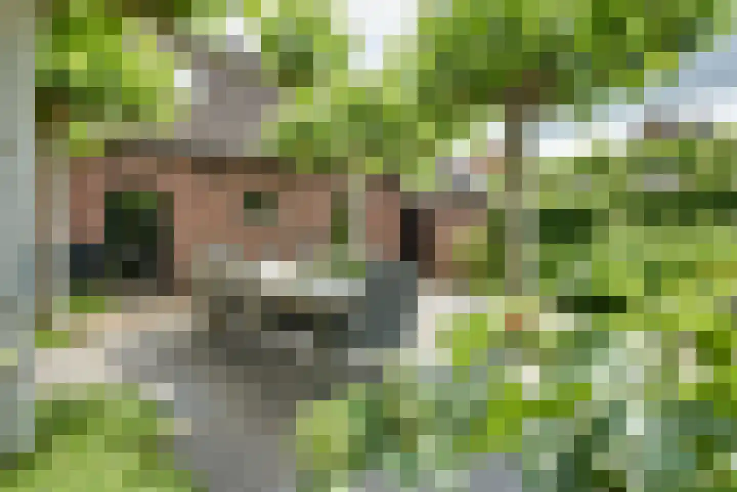 Schrepel 4 Zevenbergschen Hoek thumbnail 5