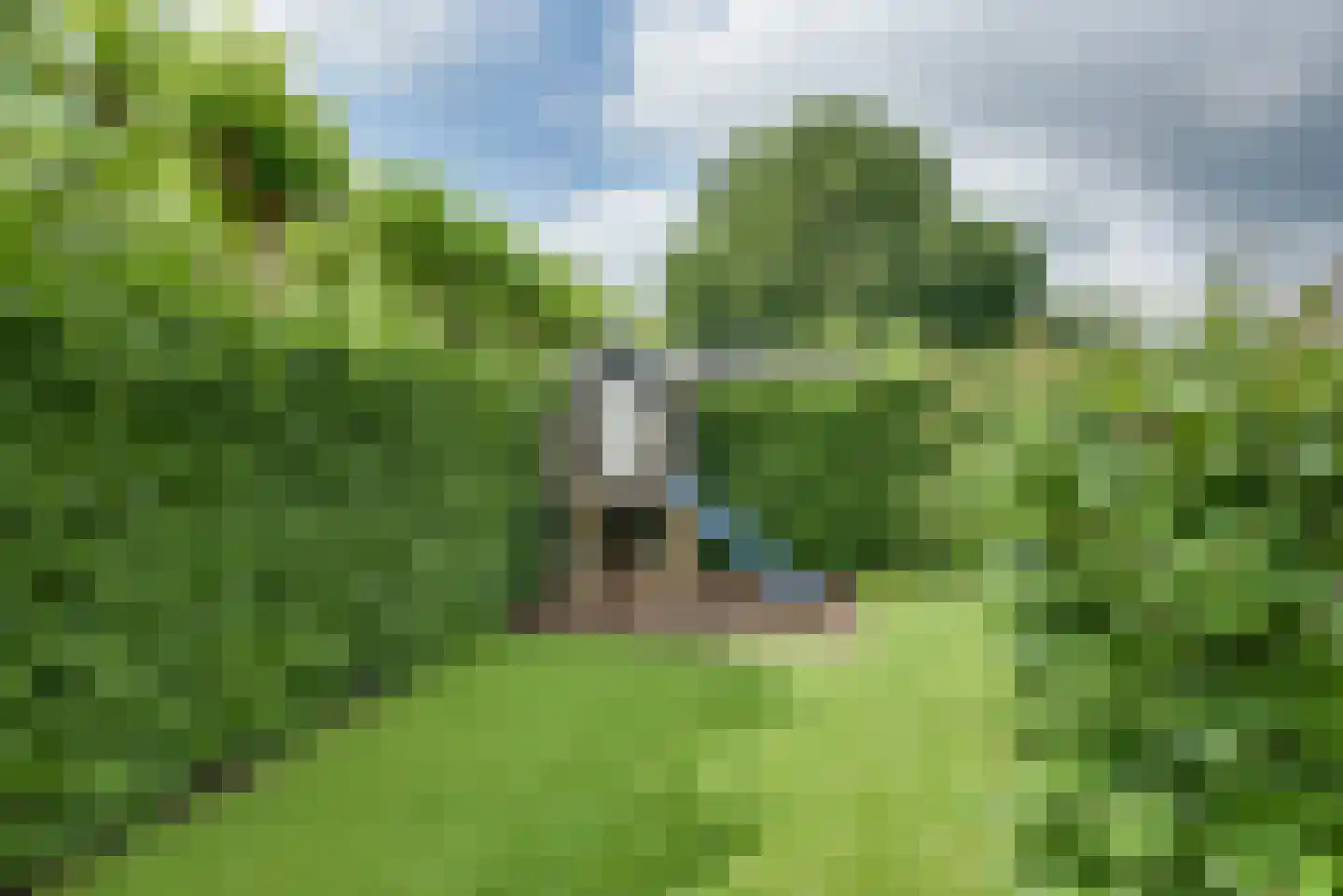 Schrepel 4 Zevenbergschen Hoek thumbnail 50