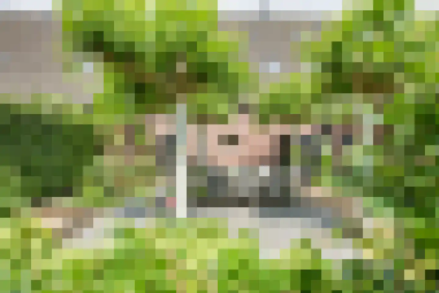 Schrepel 4 Zevenbergschen Hoek thumbnail 51