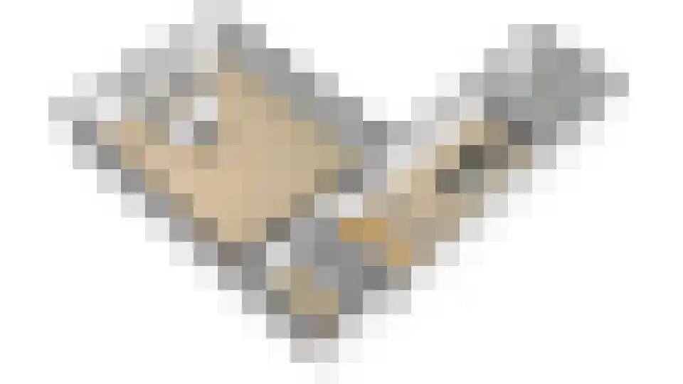 Schrepel 4 Zevenbergschen Hoek thumbnail 57