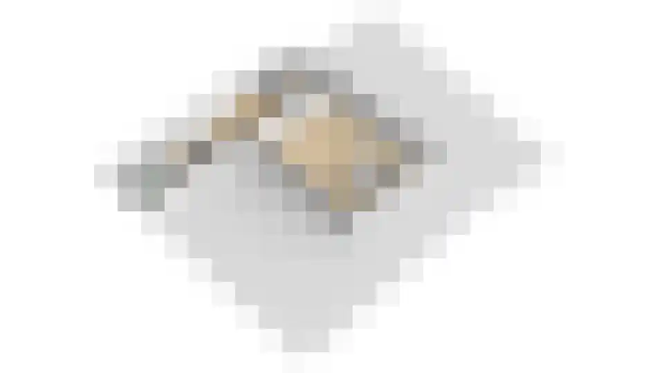 Schrepel 4 Zevenbergschen Hoek thumbnail 60