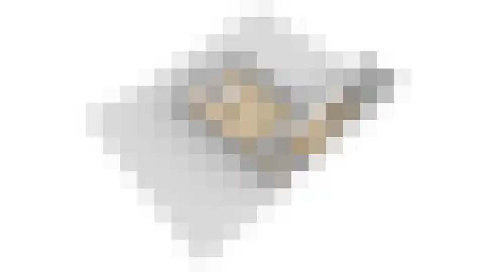 Schrepel 4 Zevenbergschen Hoek thumbnail 61