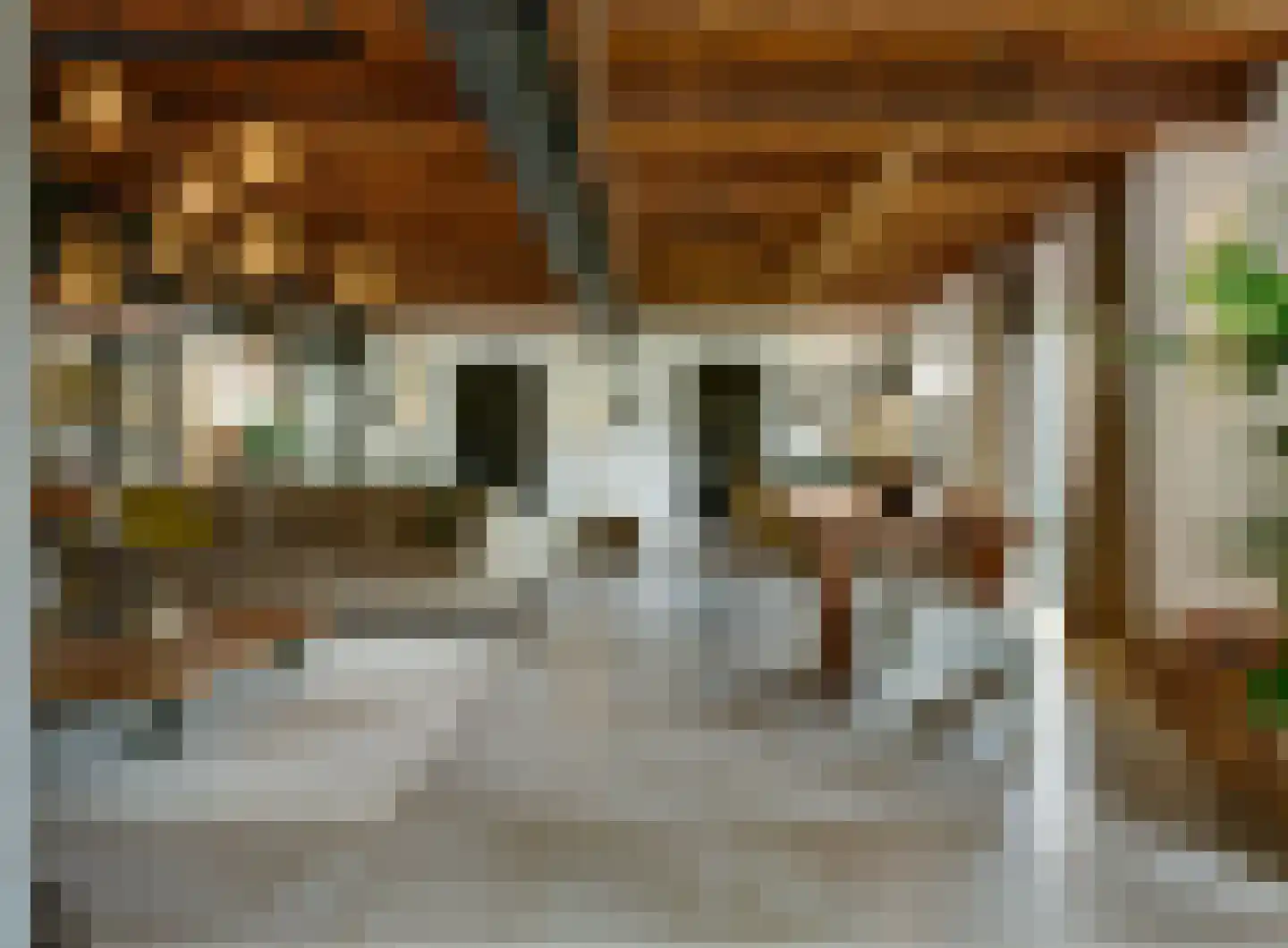 Schrepel 4 Zevenbergschen Hoek thumbnail 7