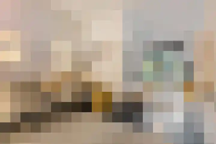 Schrepel 40 's-Hertogenbosch thumbnail 14
