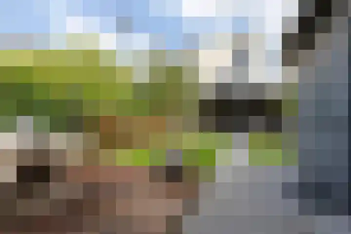 Schrepel 40 's-Hertogenbosch thumbnail 22