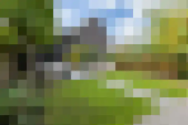 Schrepel 40 's-Hertogenbosch thumbnail 24