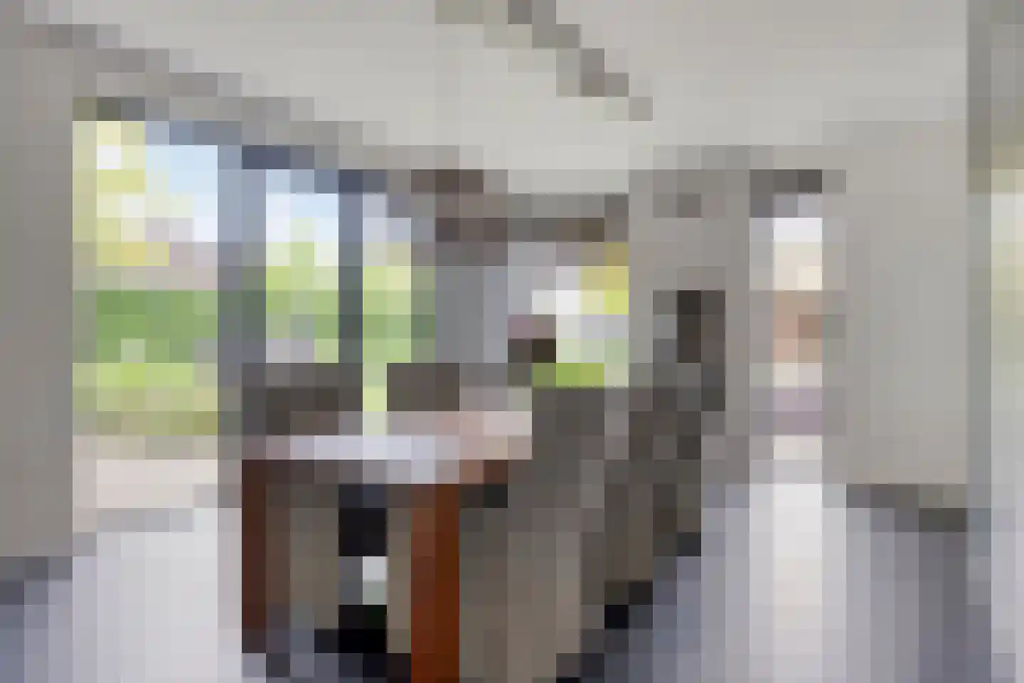 Schrepel 8 's-Hertogenbosch thumbnail 11