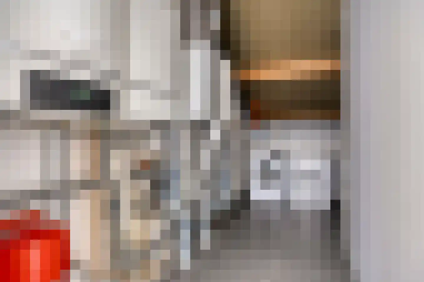 Schrepel 8 's-Hertogenbosch thumbnail 42