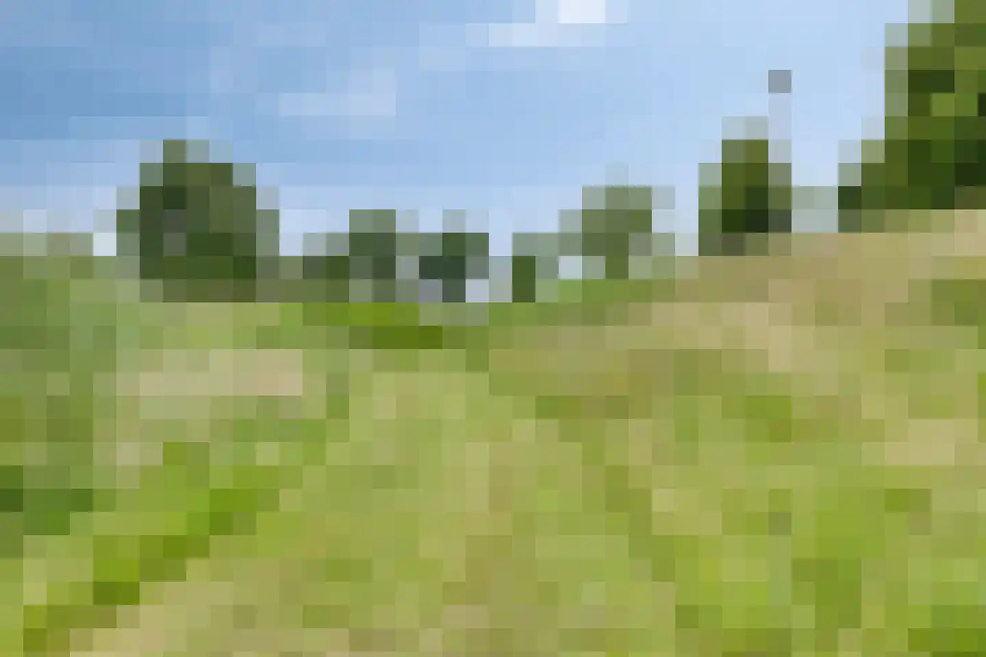 Schrepel 8 's-Hertogenbosch thumbnail 49