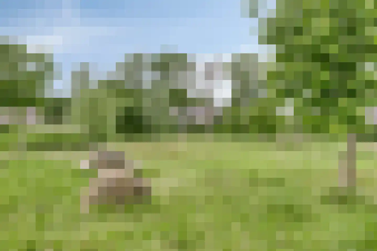 Schrepel 8 's-Hertogenbosch thumbnail 50