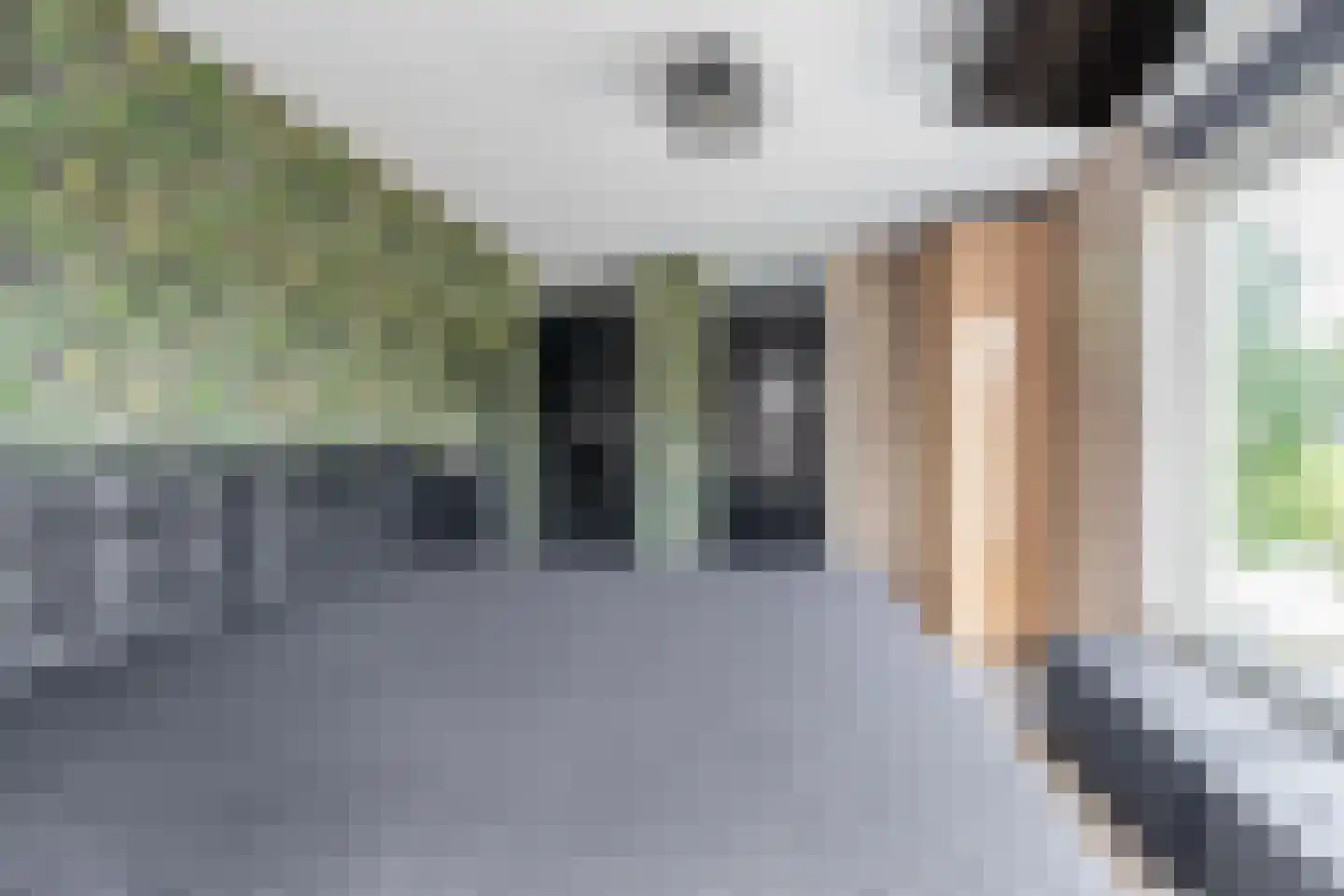 Schrepel 9 Hazerswoude-Dorp thumbnail 16