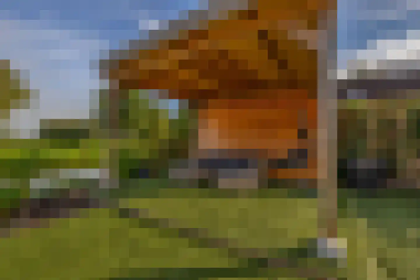 Schrepel 9 Hazerswoude-Dorp thumbnail 26