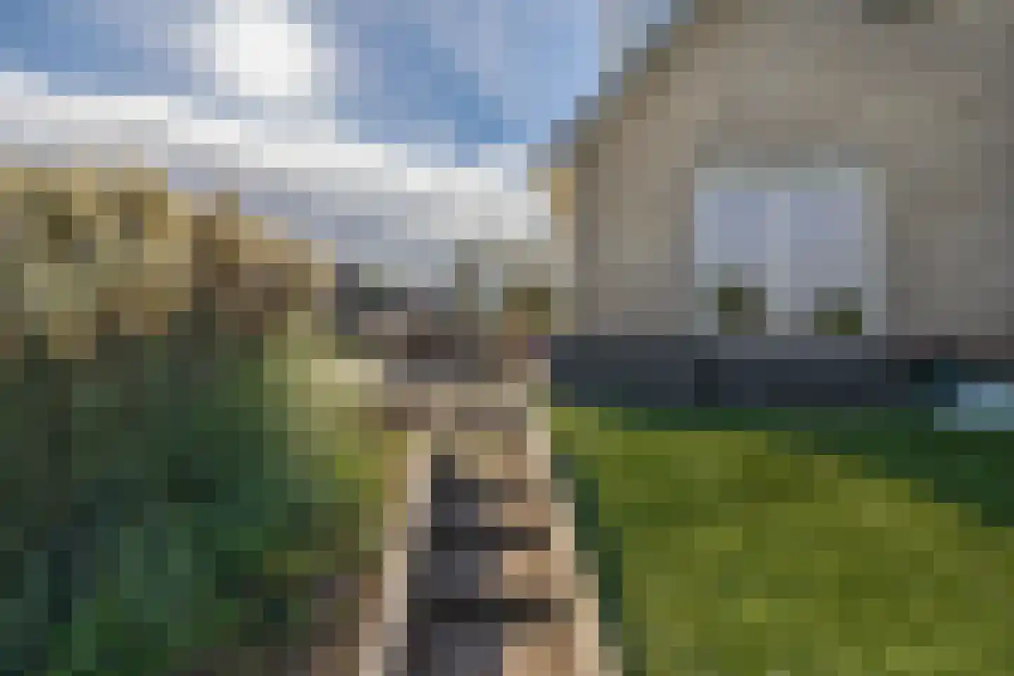 Schrepel 9 Hazerswoude-Dorp thumbnail 28