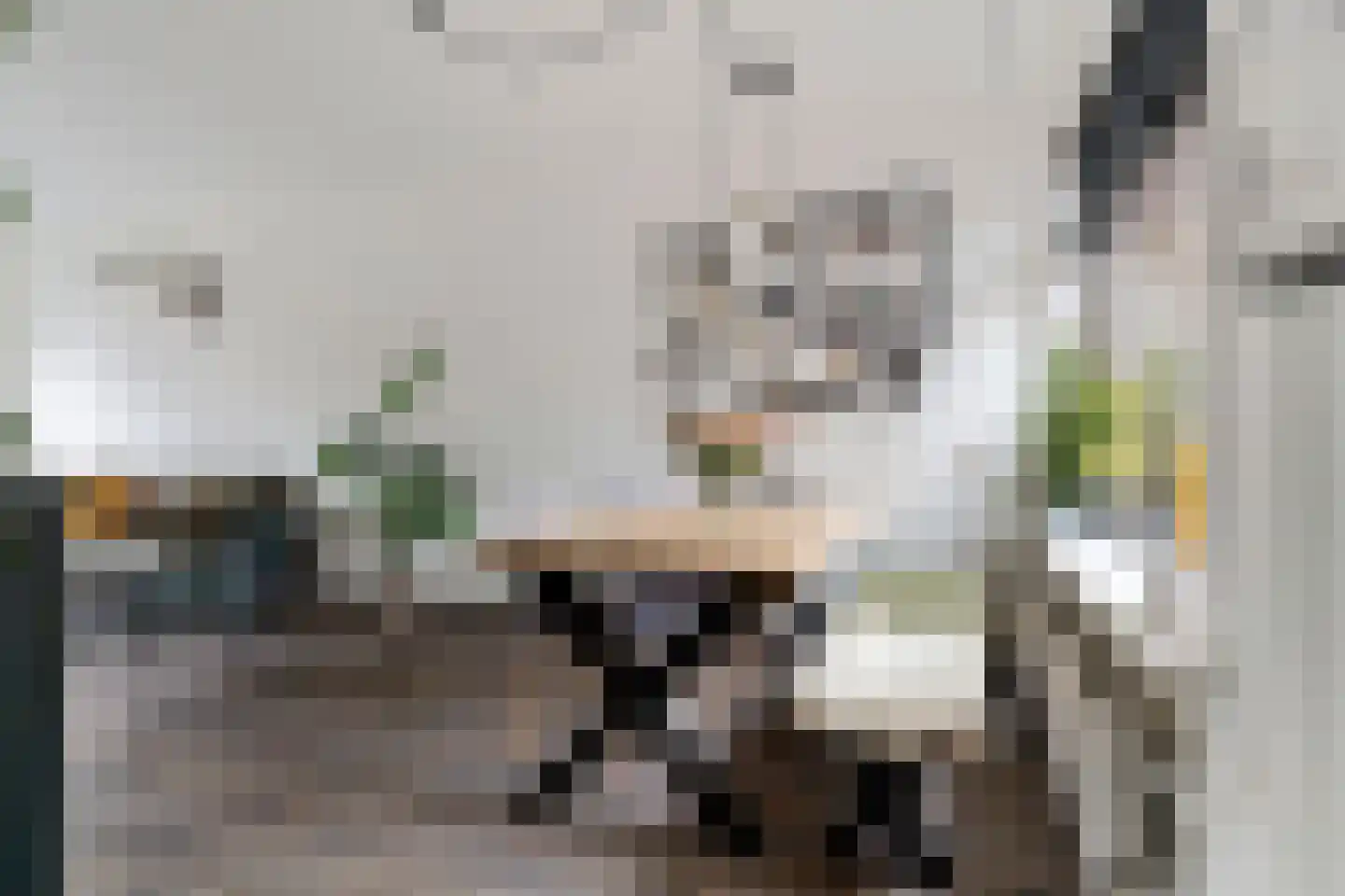 Schreursweg 36 Enschede thumbnail 13