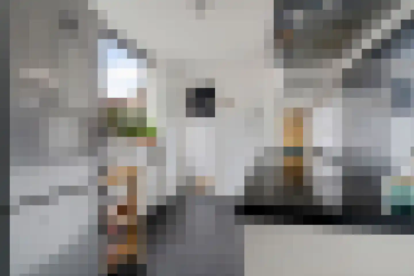 Schreursweg 36 Enschede thumbnail 14