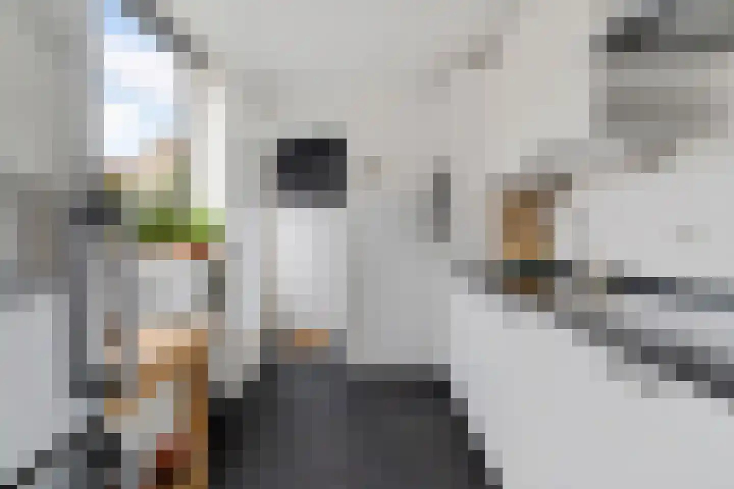 Schreursweg 36 Enschede thumbnail 15