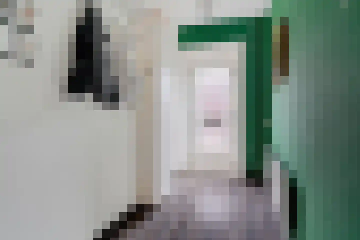 Schreursweg 36 Enschede thumbnail 17