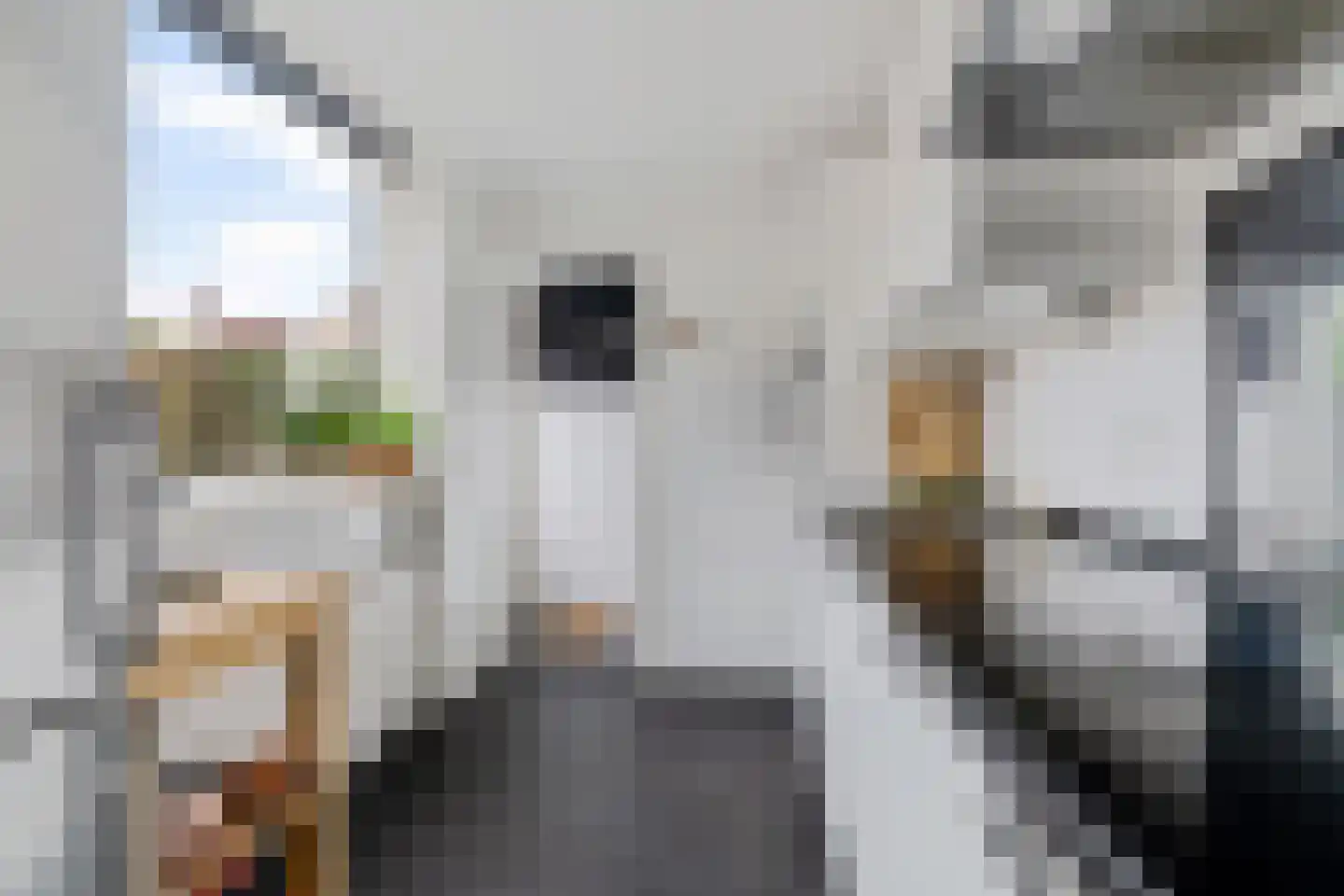 Schreursweg 36 Enschede thumbnail 4