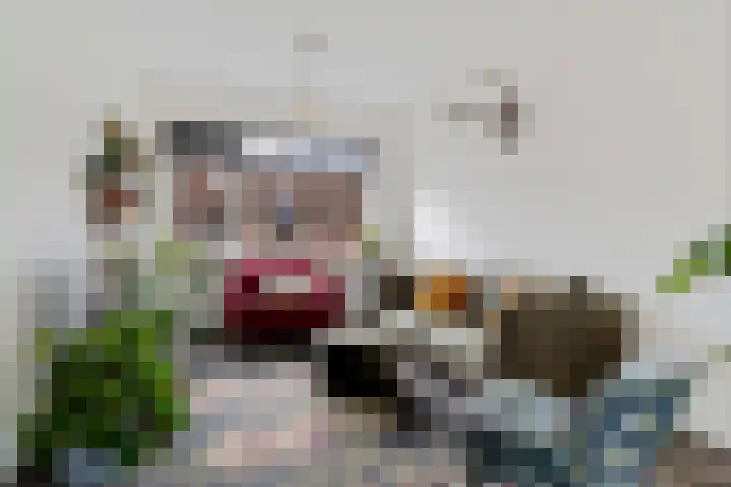 Schreursweg 36 Enschede thumbnail 6