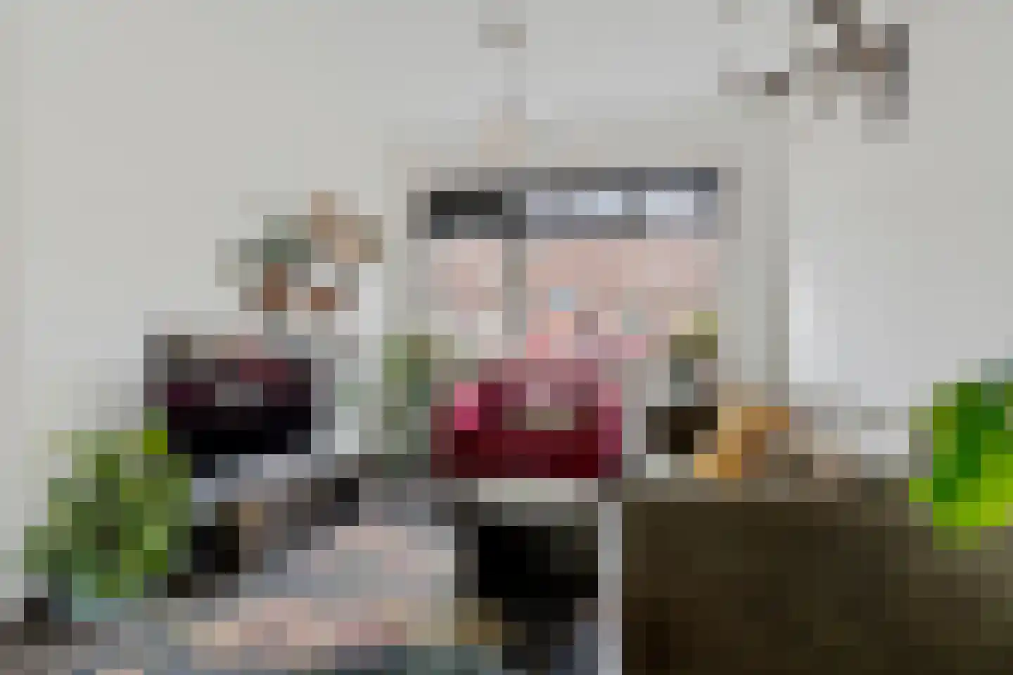 Schreursweg 36 Enschede thumbnail 7