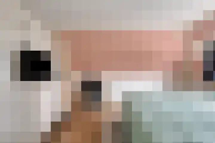 Schreursweg 72 Enschede thumbnail 21