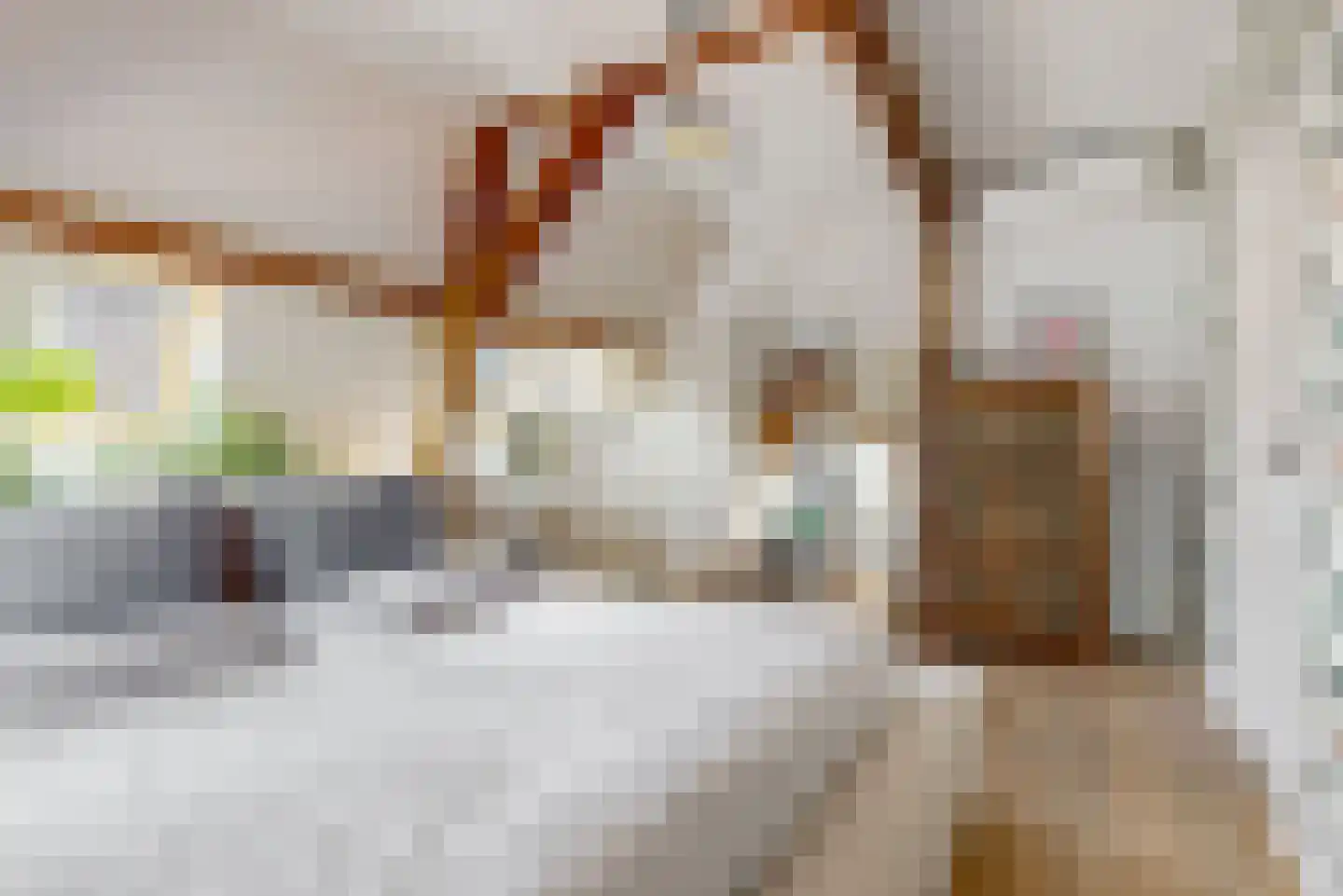 Schreveliusstraat 2 RD Haarlem thumbnail 14