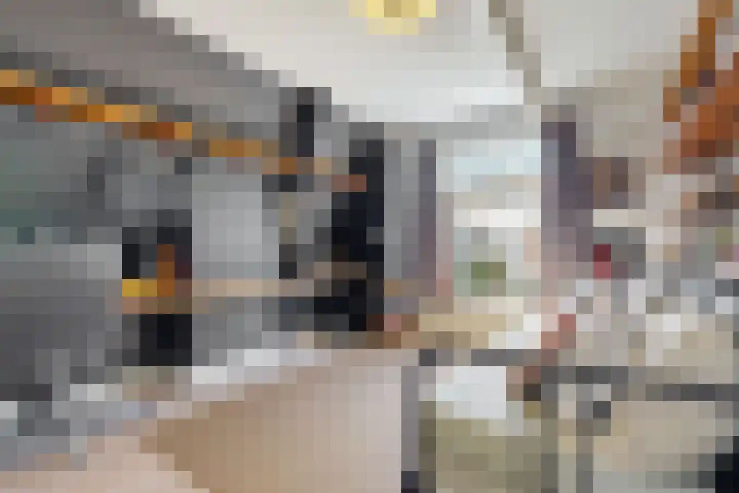 Schreveliusstraat 2 RD Haarlem thumbnail 18