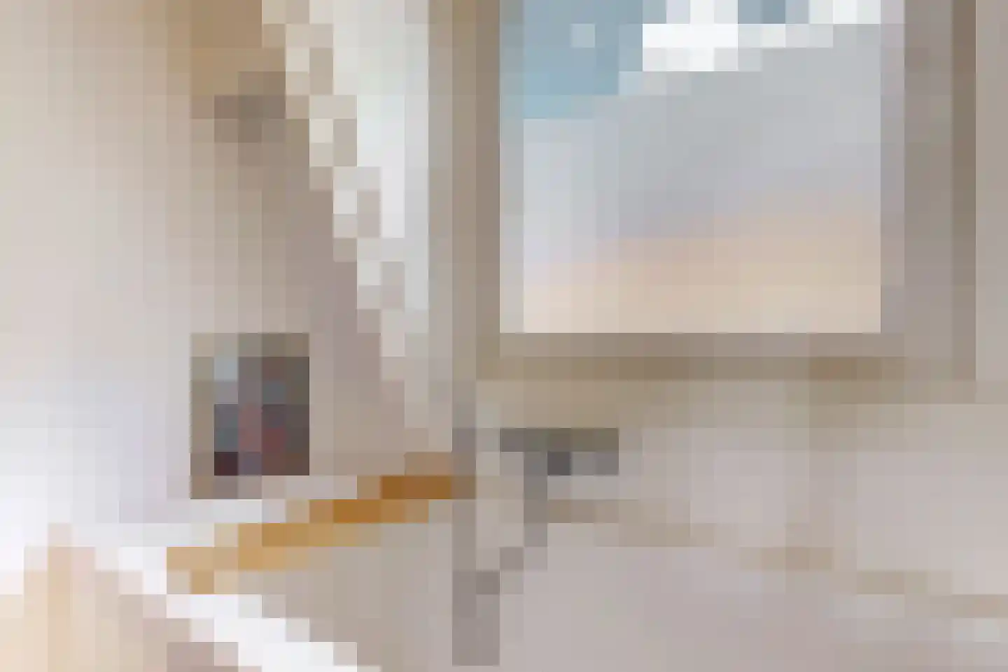 Schreveliusstraat 2 RD Haarlem thumbnail 24