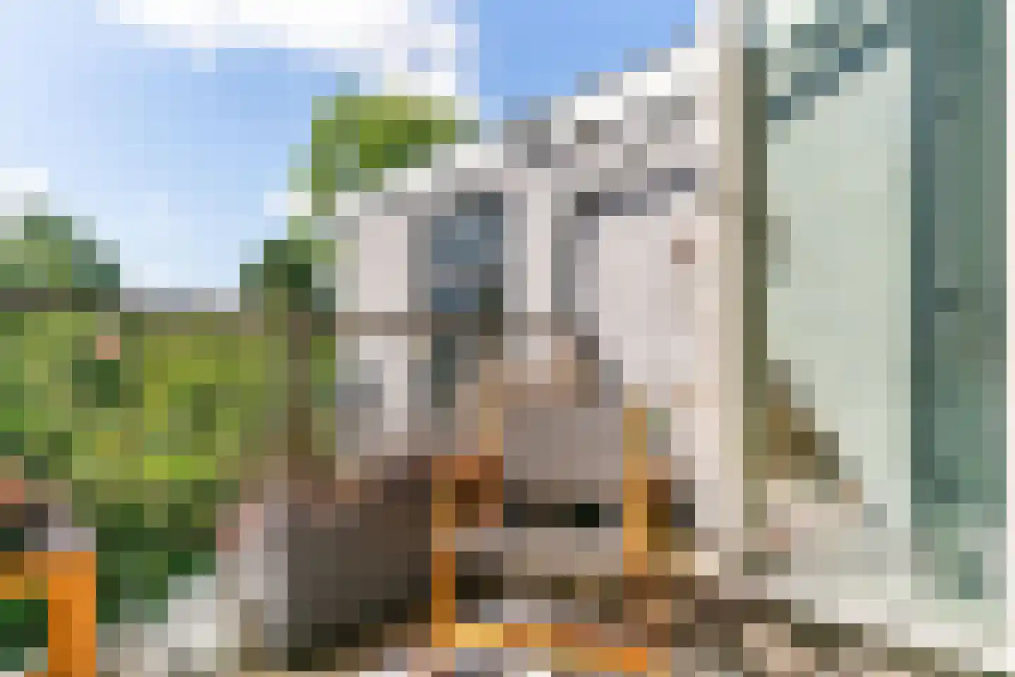 Schreveliusstraat 2 RD Haarlem thumbnail 27