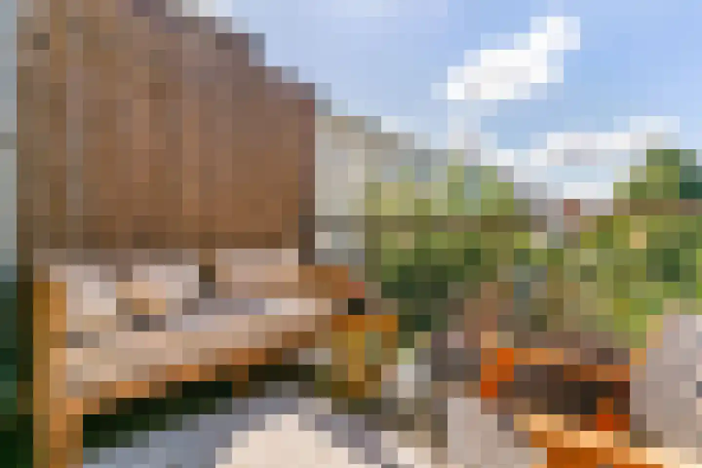 Schreveliusstraat 2 RD Haarlem thumbnail 28