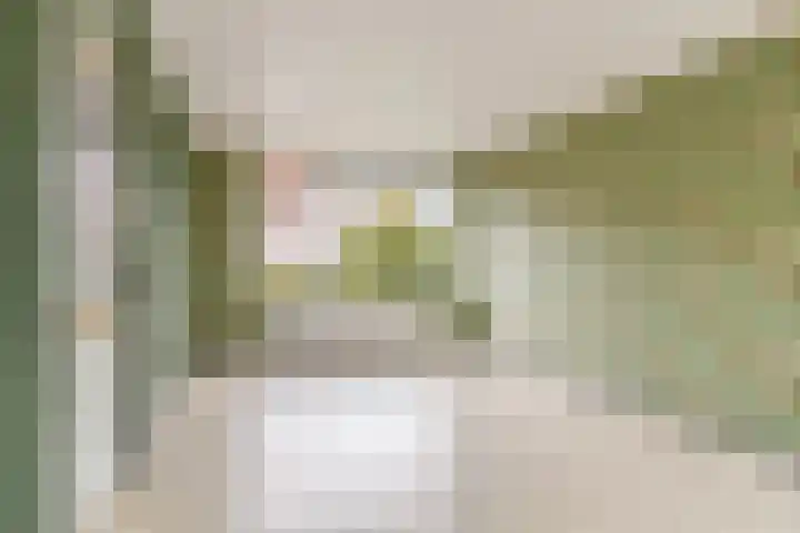 Schrevelsgerecht 9 Rijsenhout thumbnail 13