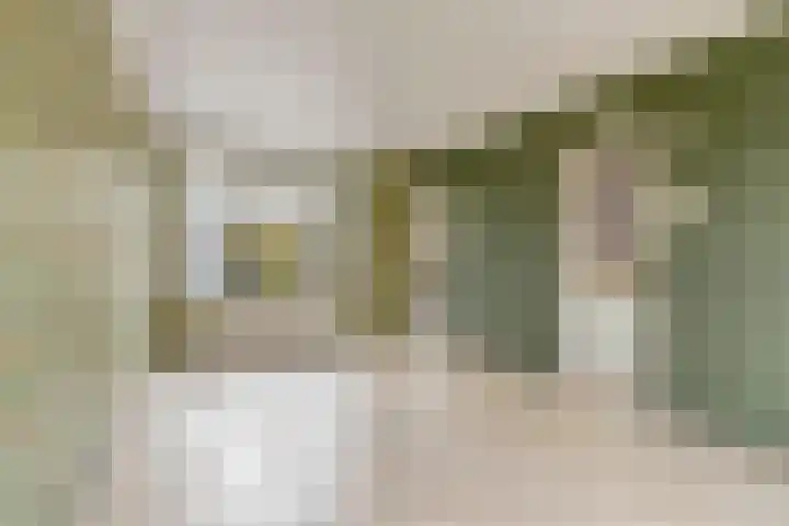 Schrevelsgerecht 9 Rijsenhout thumbnail 14
