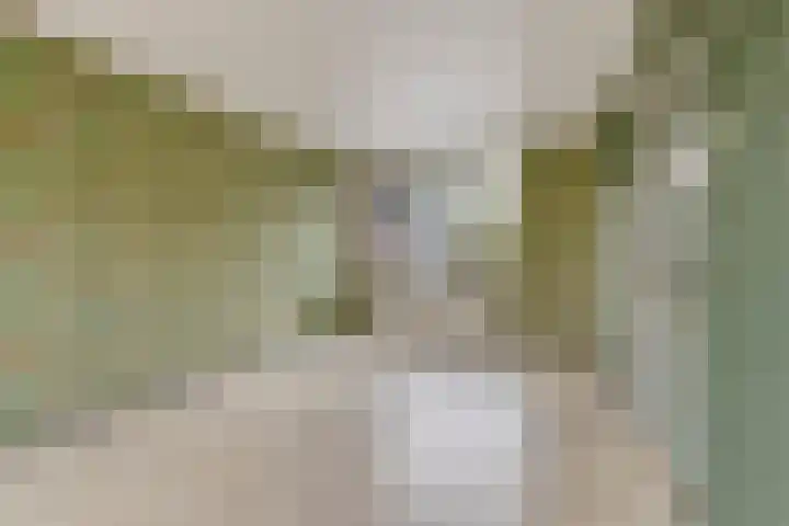 Schrevelsgerecht 9 Rijsenhout thumbnail 15