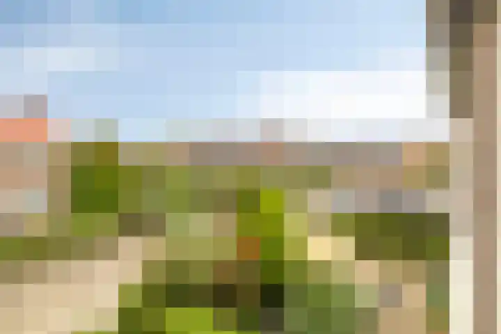 Schrevelsgerecht 9 Rijsenhout thumbnail 29
