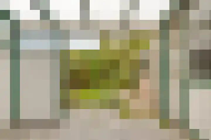 Schrevelsgerecht 9 Rijsenhout thumbnail 30