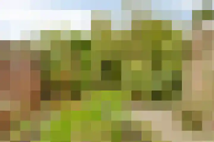 Schrevelsgerecht 9 Rijsenhout thumbnail 32