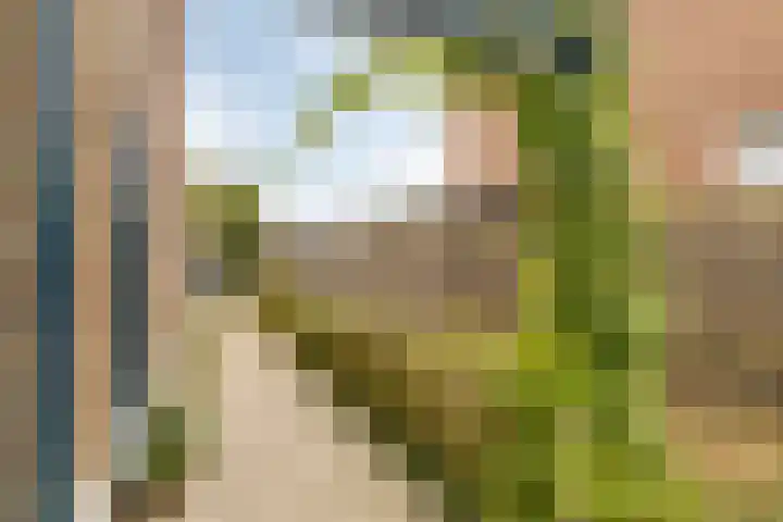 Schrevelsgerecht 9 Rijsenhout thumbnail 37