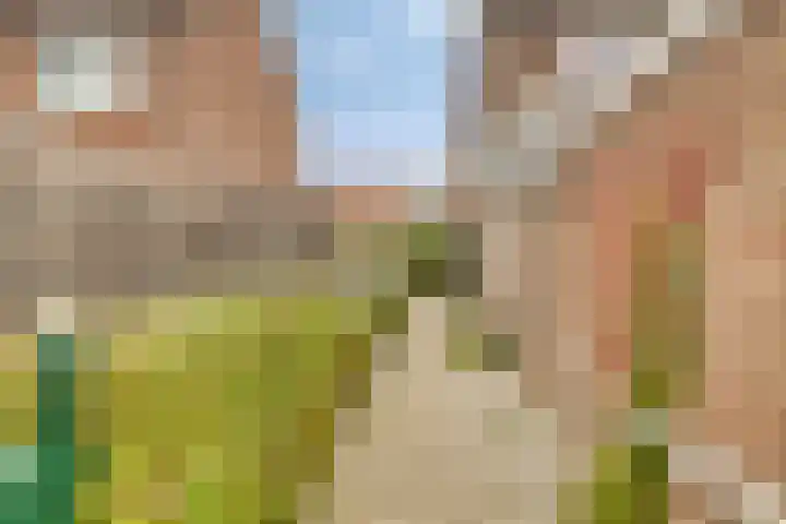 Schrevelsgerecht 9 Rijsenhout thumbnail 38