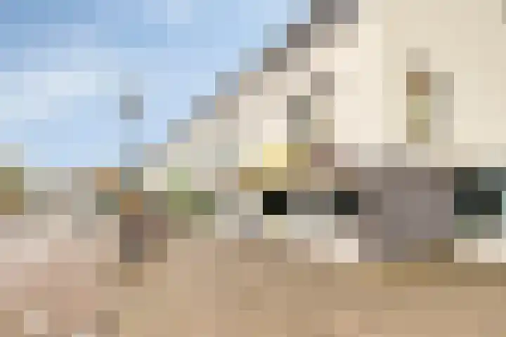 Schrevelsgerecht 9 Rijsenhout thumbnail 5