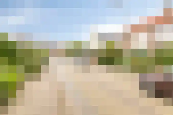 Schrevelsgerecht 9 Rijsenhout thumbnail 7